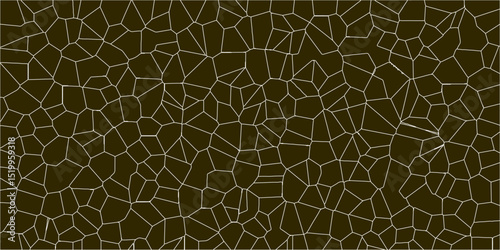 Abstract mesh network formed by thin line segments

