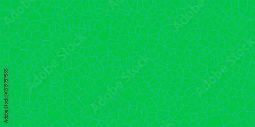 Geometric crackle texture with random web-like formations


