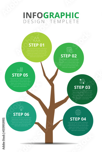 vector infographic of agriculture processes, infographic design, eco business presentation concept, template of tree infographic design.