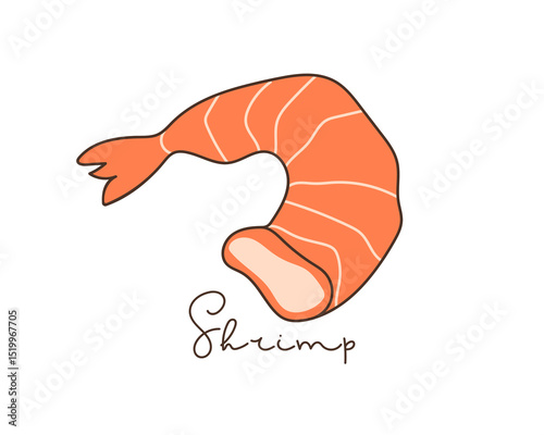 Shrimp. Hand drawn lineart vector illustration and hand written inscription on white background. Sign for Label, Poster, menu. Japanese food, traditional food. Red cooked shrimp or prawns. Seafood