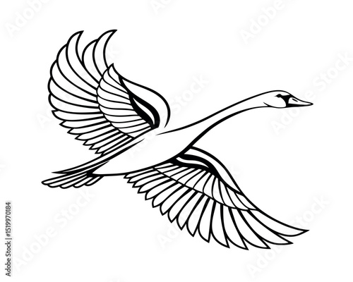 Elegant Black and White Swan in Flight Illustration