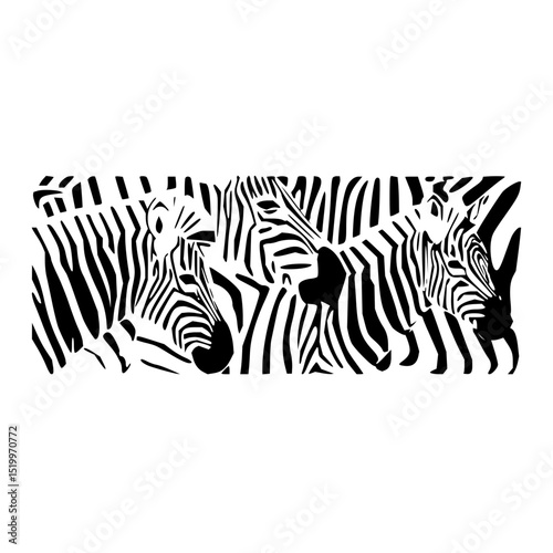 Minimilist illustration of three zebras standing close together with their iconic black and white stripes design vector