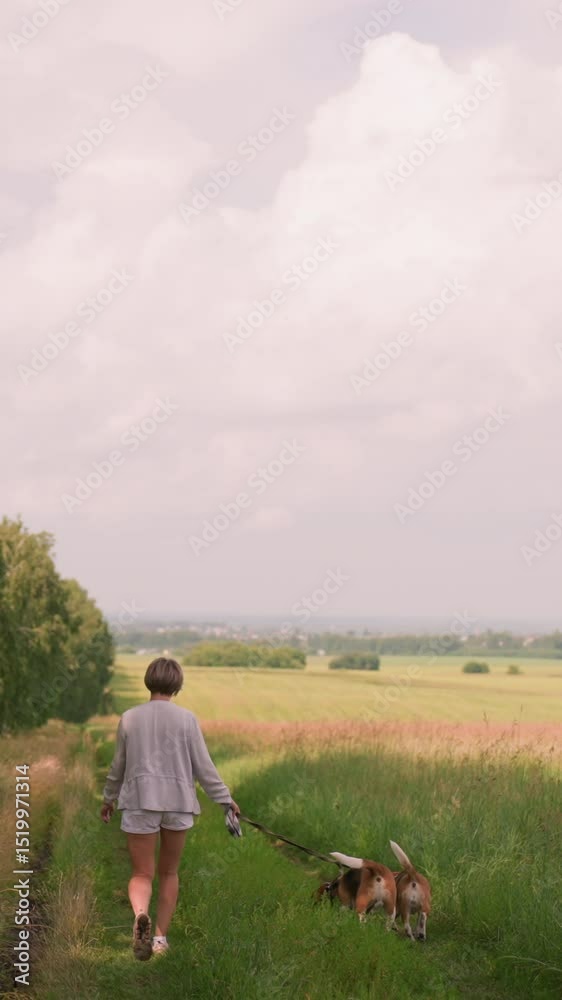 Pet lover walking two beagles on leash through vast grassy field, dressed in casual grey and white, trees lining side of the path, enjoying peaceful countryside under cloudy sky Pet lover walking two beagles on leash through vast grassy field, dressed in casual grey and white, trees lining side of the path, enjoying peaceful countryside under cloudy sky