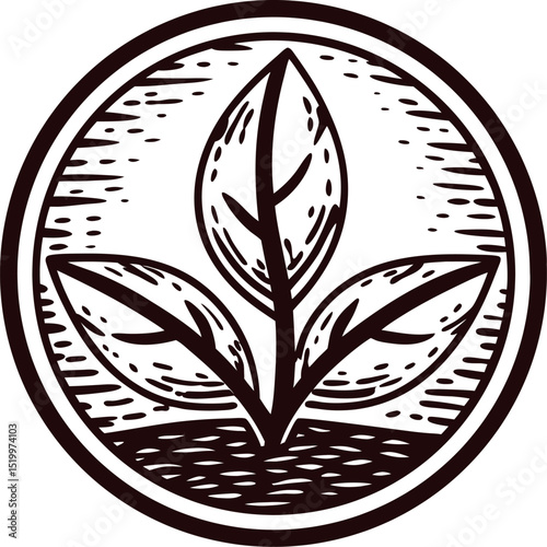 Hand drawn plant emblem with three leaves inside circular border vintage engraving botanical illustration