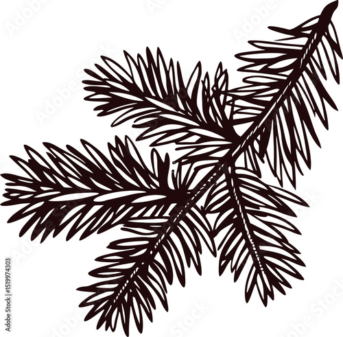 Detailed pine tree branch silhouette with intricate needle pattern