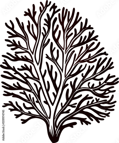 minimalist-sea-fan-coral-with-delicate-details---- (2).eps
