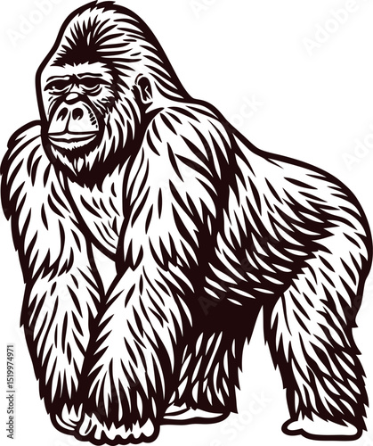 Hand drawn gorilla illustration in vintage engraved isolated on white background