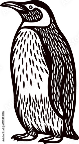 Black and white hand drawn emperor penguin standing upright side view in vintage illustrative