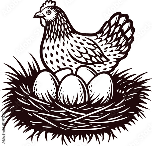 Hen nesting with three eggs in a rustic nest