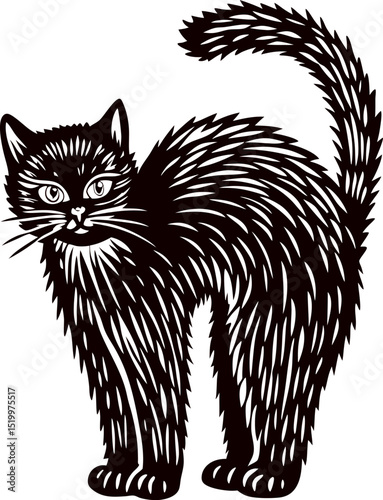 Frightened arched black cat illustration with bristling fur and expressive eyes isolated on white background