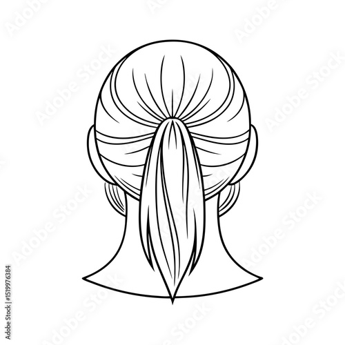 Woman s back view ponytail hairstyle silhouette isolated on transparent background