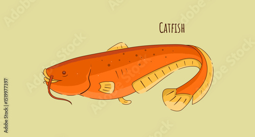 Hand Drawn Catfish Vector Illustration.
