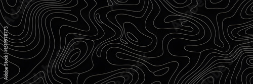 Abstract Topographic Map Pattern with Curved White Lines on Black Background – Seamless Monochrome Contour Design

