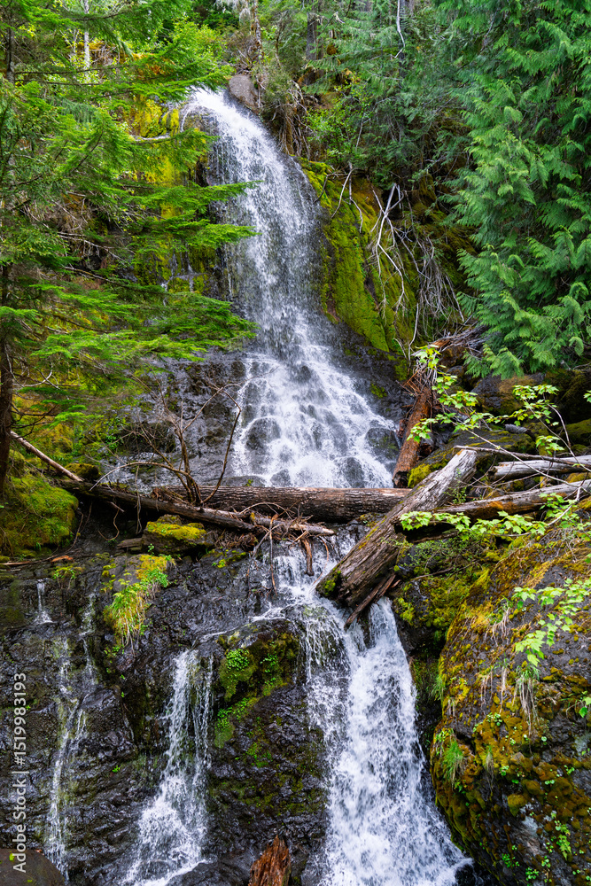 Fototapeta premium Mountain Park Waterfall 3