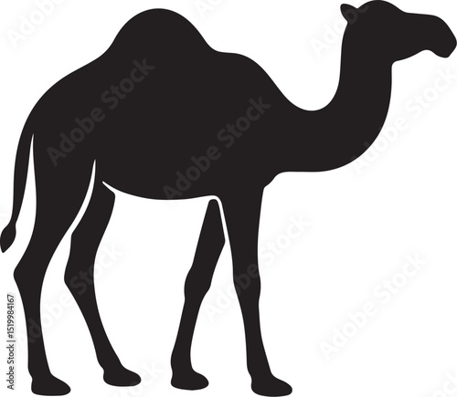 camel vector art 