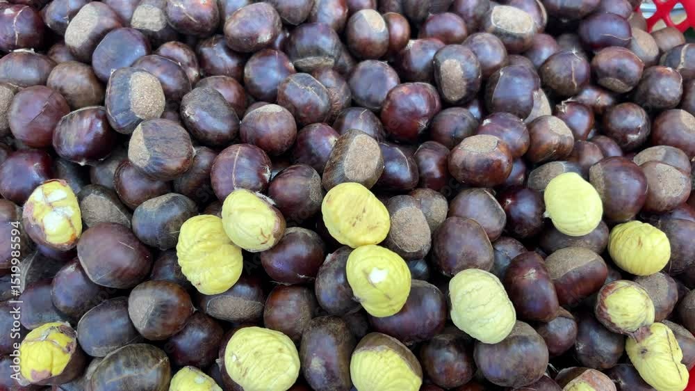 Ripe chestnuts fruits, close-up. Chestnut nuts are used in cooking. 4K video, Rotating.