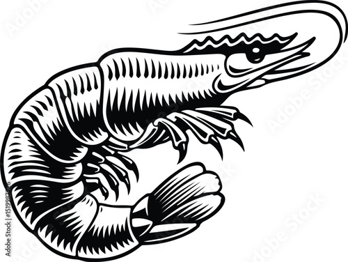 Detailed black and white illustration of a shrimp
