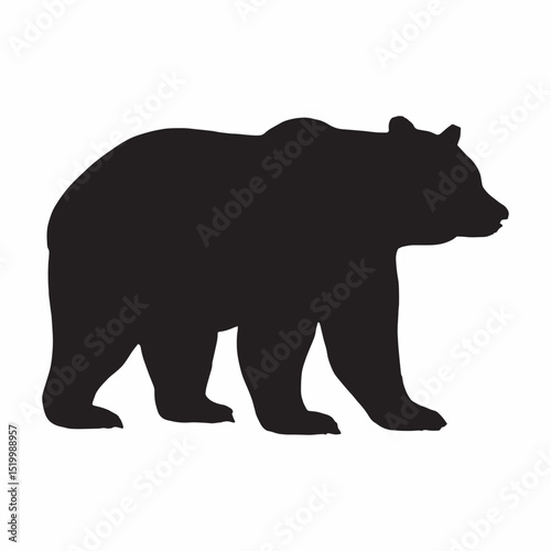 Bear Silhouette