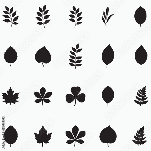 Flower svg bundle