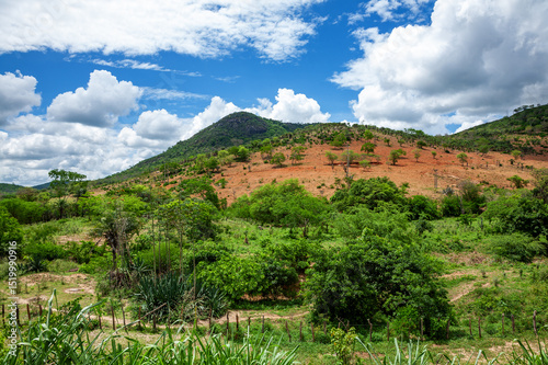 Savanna landscape in Bahia, Sertao, Brazil, South America.