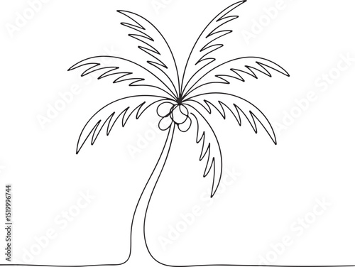 Coco Nucifera Coconut Palm Tree Sketch