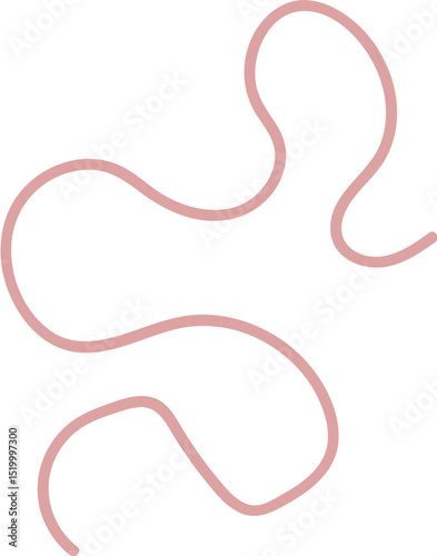 Intestinal Parasitic Worm