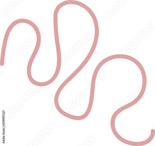 Intestinal Parasitic Worm