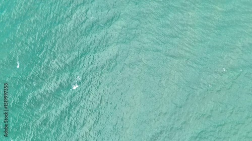 Crystal Clear Water and Sandy Coastline from Above