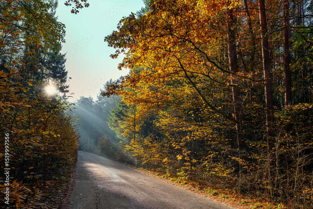 Obraz premium Jesień na Mazurach.