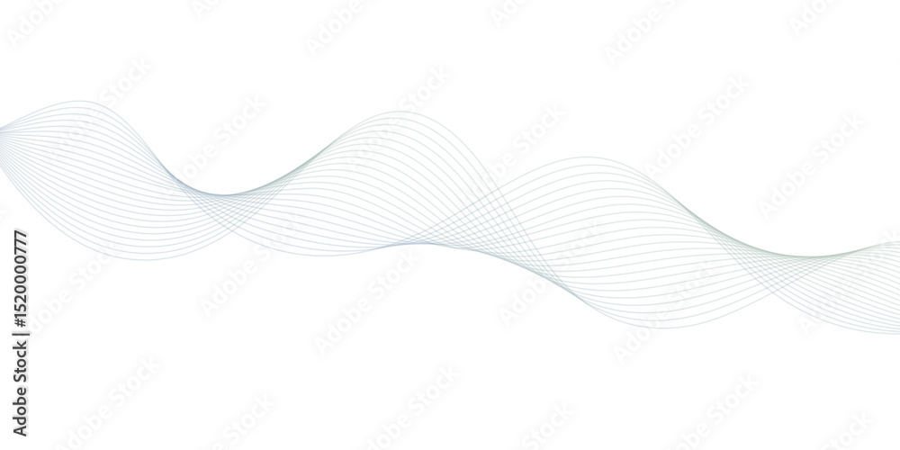 Fototapeta premium abstract Grey wave line background on white background.
