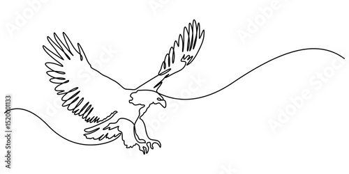 Eagle as symbol USA. One line continuous bird. Line art, outline, single line silhouette. Hand drawn vector illustration, An eagle soars in the sky with its wings spread wide. A large bird of prey.