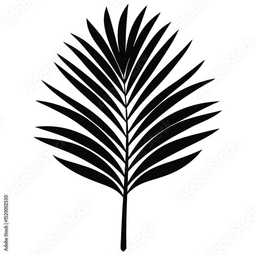 Black and White Illustration of a Stylized Palm Frond on a White Background