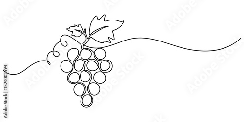 Continuous one line drawing of a bunch of grapes,  representing elegance and natural sweetness, line art style vector illustration, Bunch of grapes. Minimalist line drawing, one continuous line, pro.