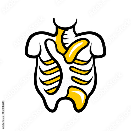 anatomy vector icon