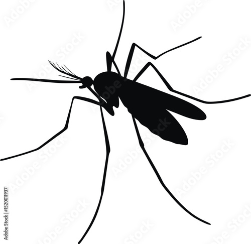 Mosquito Silhouette Vector Illustration of Insect for Health and Nature Concepts


