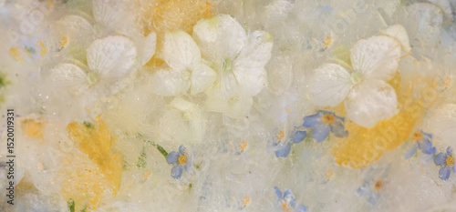 dreamy abstract floral background with white wild roses, hortensia, yellow lily and blue forget-me-not flowers frozen in milk and water in watercolor style