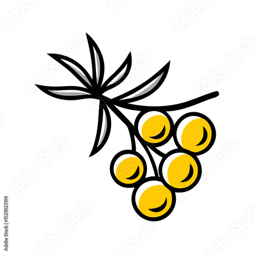 juniper vector icon