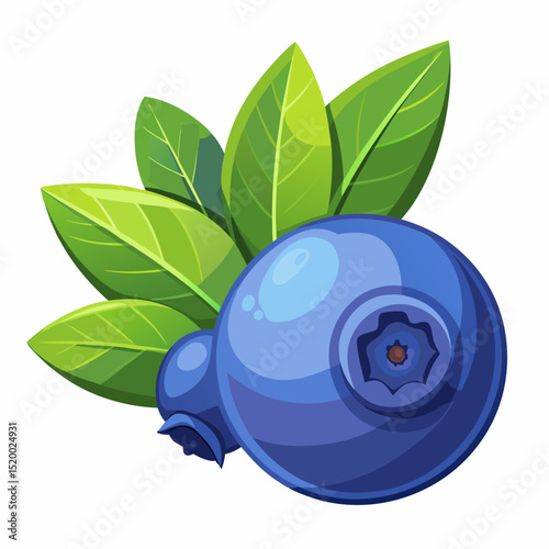 Two blueberries with leaves isolated on white background