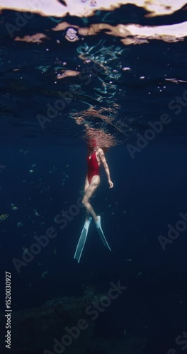 Freediver woman swims with tropical fish underwater in blue ocean. Sexy woman swimming in sea with sun rays