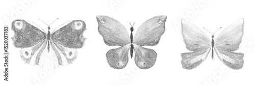 Grunge vintage butterfly in halftones. Aesthetic graphic tattoo. Gothic punk poster.Trendy elements with retro photocopy effect.