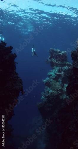 Woman dives underwater in ocean, vertical shot