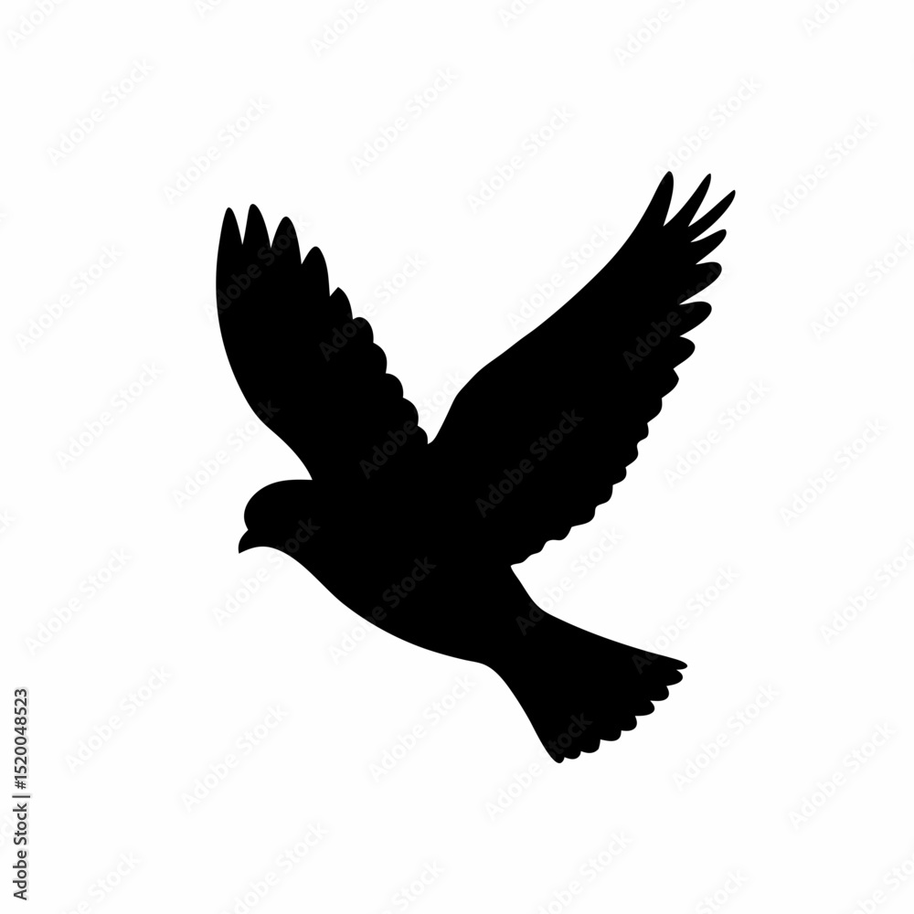 Obraz premium Professional bird silhouette, isolated dove in flight