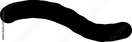 Abstract black S-shaped line graphic element, resembling a fluid brush stroke or a decorative wavy underline, a versatile design concept for various visual projects and digital art applications