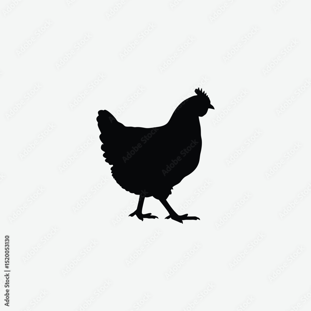 Fototapeta premium Download a high-resolution chicken vector graphic perfect for farm-themed designs, t-shirt prints, educational materials, and digital art.