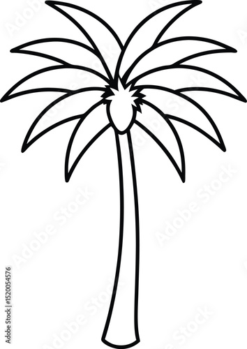 palm tree  icon line art vector illustration on transparent background