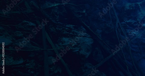 Underwater view of blue clear lake with sunken wooden logs.
