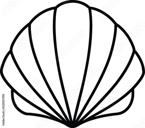 seashell icon line art vector illustration on transparent background