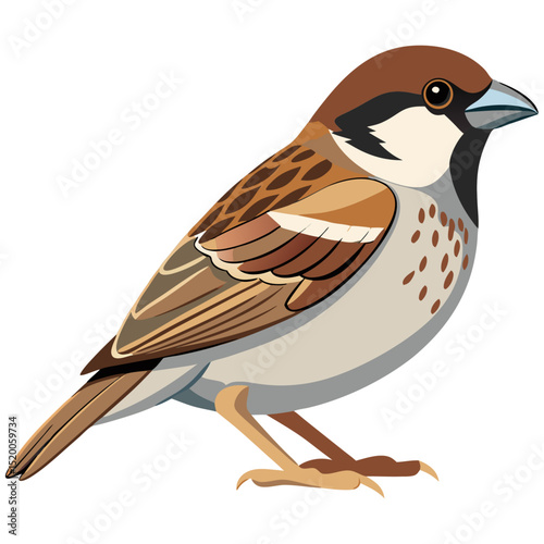 Brown sparrow bird perched in side view
