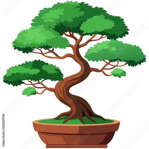 Decorative bonsai tree in ceramic pot
