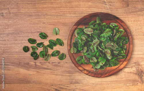 sorrel bloody Mary, fresh baby sorrel leaves, with red veins, micro-greens, on a plate,